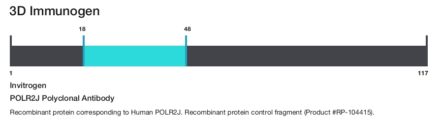 POLR2J Polyclonal Antibody