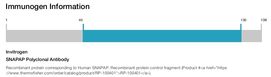 SNAPAP Polyclonal Antibody