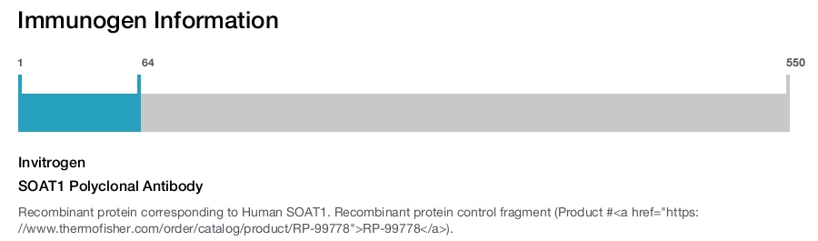 SOAT1 Polyclonal Antibody