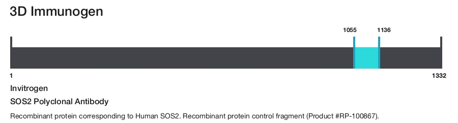 SOS2 Polyclonal Antibody