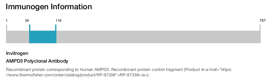 AMPD3 Polyclonal Antibody