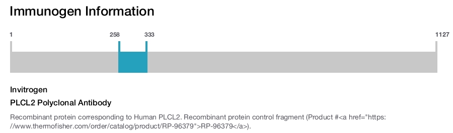 PLCL2 Polyclonal Antibody