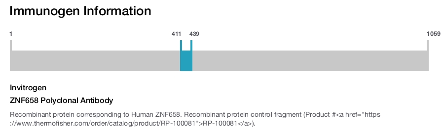 ZNF658 Polyclonal Antibody