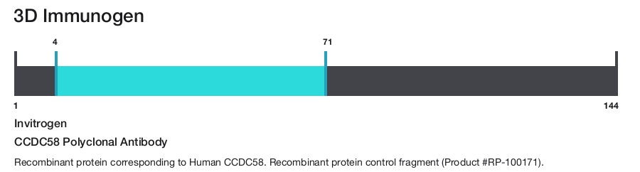 CCDC58 Polyclonal Antibody