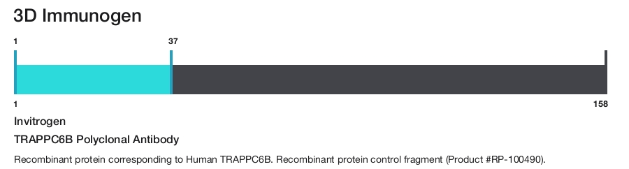 TRAPPC6B Polyclonal Antibody