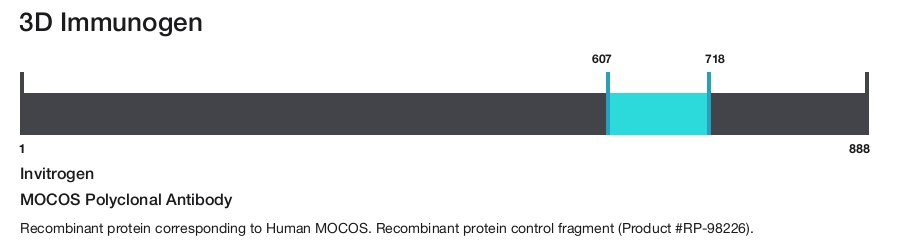 MOCOS Polyclonal Antibody