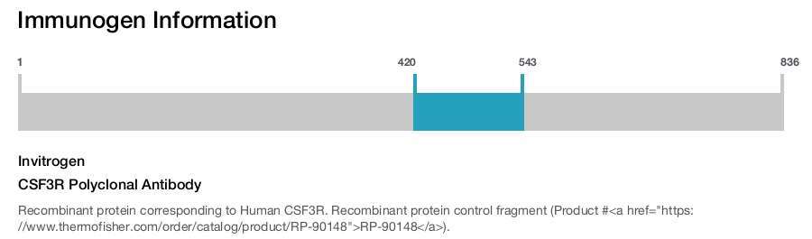 CSF3R Polyclonal Antibody
