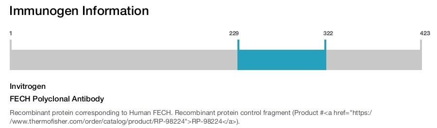 FECH Polyclonal Antibody
