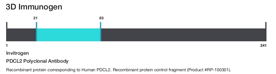 PDCL2 Polyclonal Antibody
