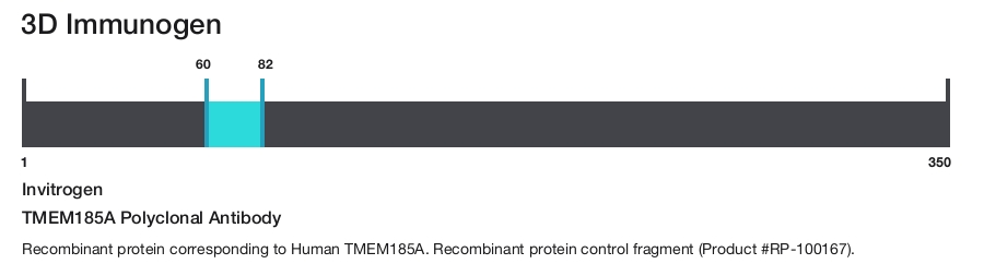TMEM185A Polyclonal Antibody