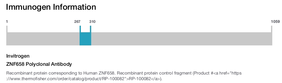 ZNF658 Polyclonal Antibody