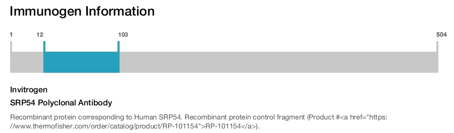 SRP54 Polyclonal Antibody