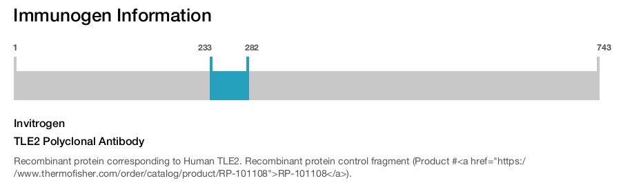 TLE2 Polyclonal Antibody