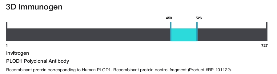 PLOD1 Polyclonal Antibody