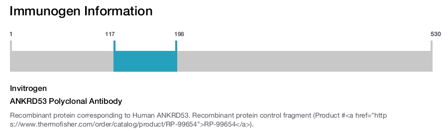 ANKRD53 Polyclonal Antibody