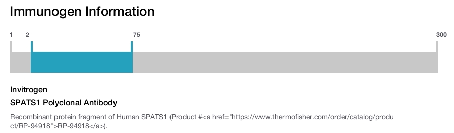 SPATS1 Polyclonal Antibody