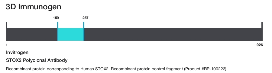 STOX2 Polyclonal Antibody
