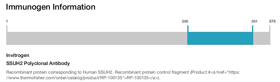 SSUH2 Polyclonal Antibody