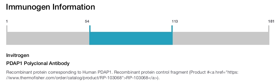 PDAP1 Polyclonal Antibody