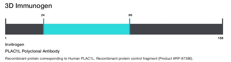 PLAC1L Polyclonal Antibody