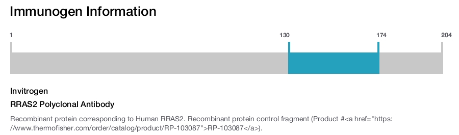 RRAS2 Polyclonal Antibody