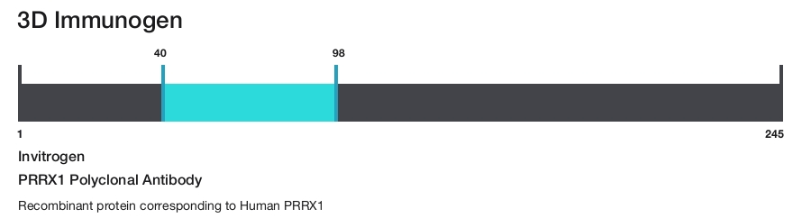 PRRX1 Polyclonal Antibody