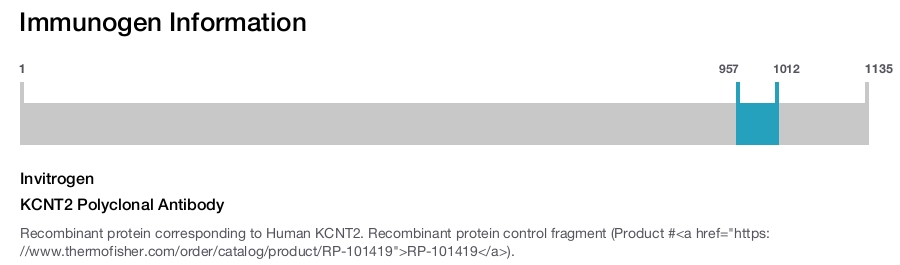 KCNT2 Polyclonal Antibody