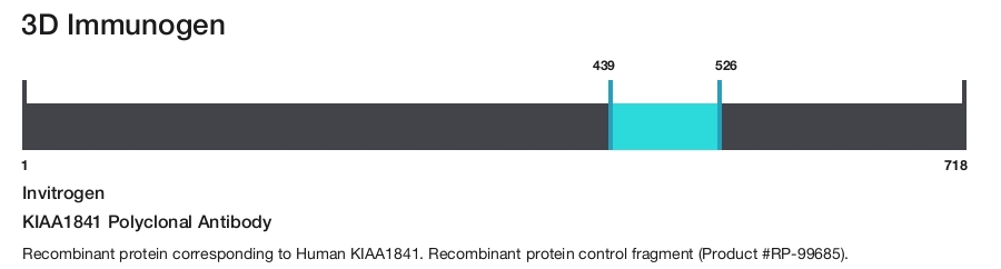 KIAA1841 Polyclonal Antibody