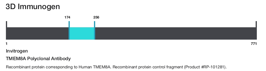 TMEM8A Polyclonal Antibody