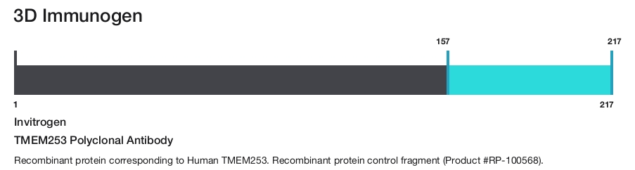 TMEM253 Polyclonal Antibody