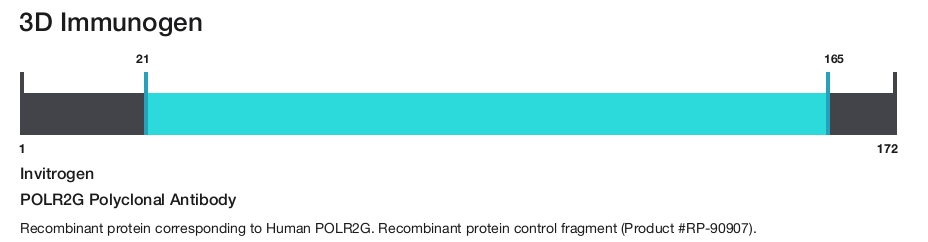 POLR2G Polyclonal Antibody