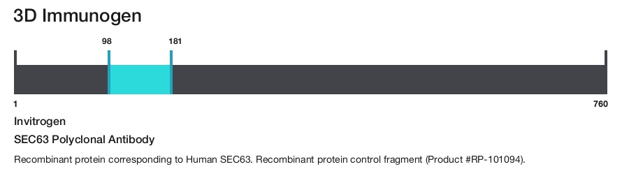 SEC63 Polyclonal Antibody