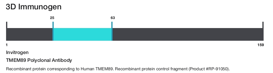 TMEM89 Polyclonal Antibody