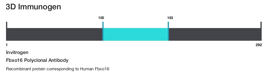 Fbxo16 Polyclonal Antibody