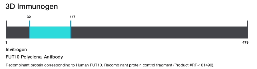 FUT10 Polyclonal Antibody