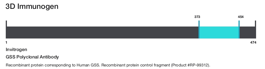 GSS Polyclonal Antibody