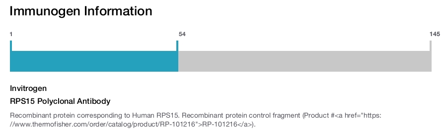 RPS15 Polyclonal Antibody