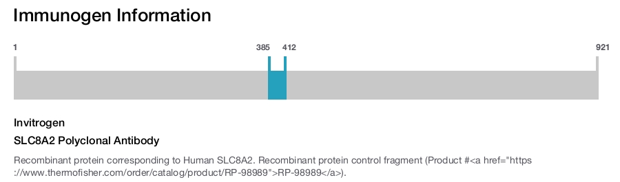 SLC8A2 Polyclonal Antibody