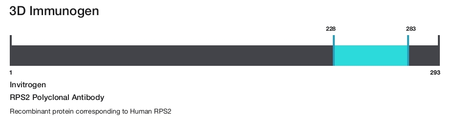 RPS2 Polyclonal Antibody