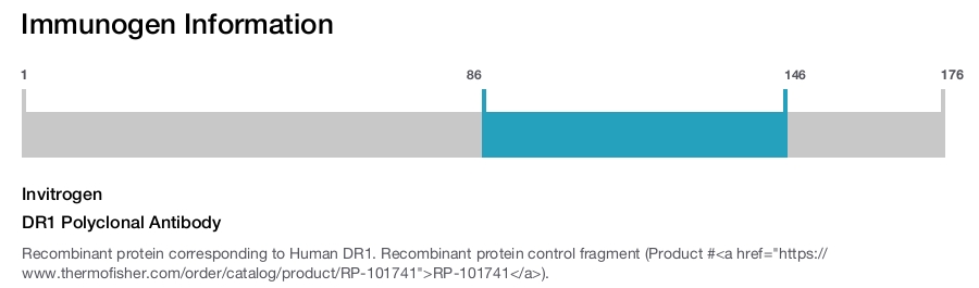 DR1 Polyclonal Antibody