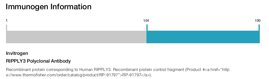 RIPPLY3 Polyclonal Antibody