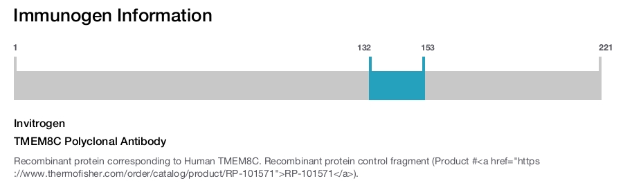 TMEM8C Polyclonal Antibody