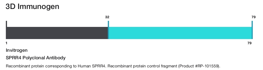 SPRR4 Polyclonal Antibody