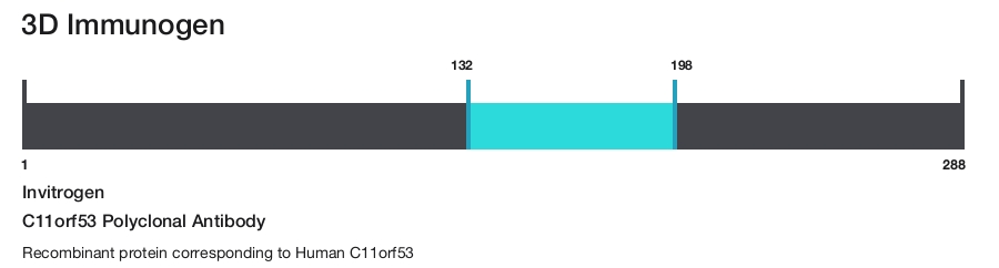 C11orf53 Polyclonal Antibody