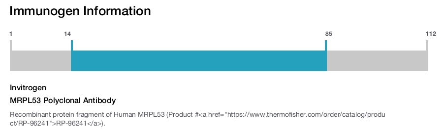 MRPL53 Polyclonal Antibody