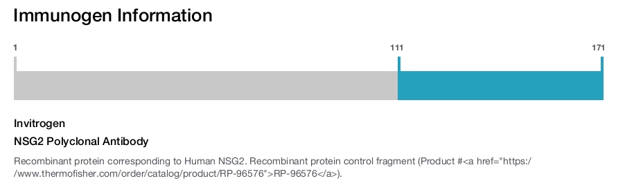 NSG2 Polyclonal Antibody