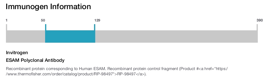 ESAM Polyclonal Antibody