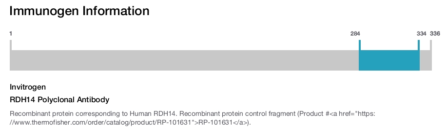 RDH14 Polyclonal Antibody