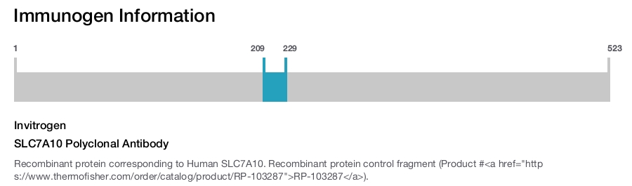 SLC7A10 Polyclonal Antibody