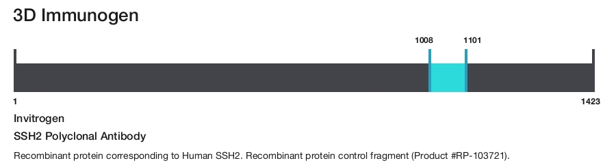 SSH2 Polyclonal Antibody